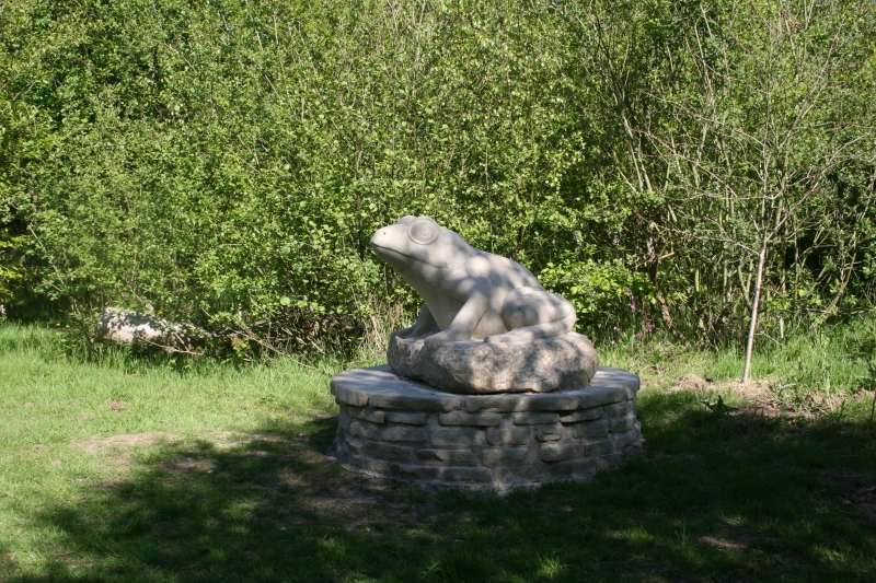 Gorse Hill Nature Reserve